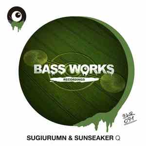 Sugiurumn & Sunseaker - Q FLAC