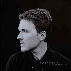 David Sylvian - Dead Bees On A Cake FLAC