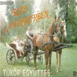 Tükör Együttes - Este A Fiákerben FLAC