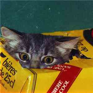 The Fairweather Band - Meow FLAC