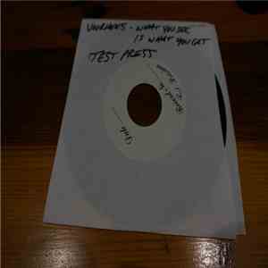Voorhees - What You See Is What You Get FLAC