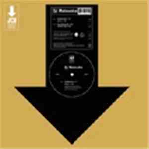 DJ Matsuoka - Excellent Bird FLAC