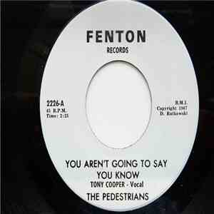 The Pedestrians - You Aren't Going To Say You Know FLAC