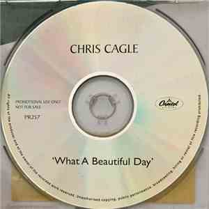 Chris Cagle - What A Beautiful Day FLAC