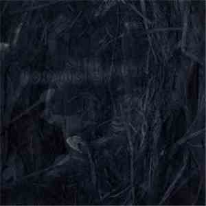 Comaduster - Slip Through FLAC