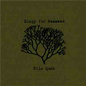 Nils Quak - Elegy For Seaweed FLAC