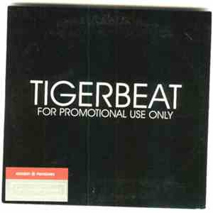 Tigerbeat - Beat Me 'Till I Understand / Heartbreak Kid FLAC