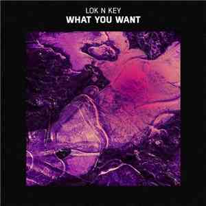 Lok N Key - What You Want FLAC