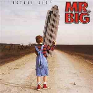 Mr. Big - Actual Size FLAC