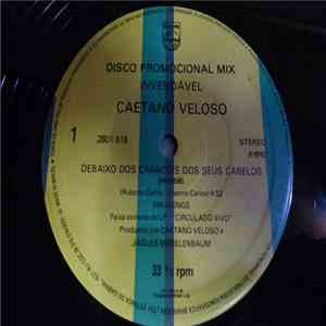 Caetano Veloso - Debaixo Dos Caracois Dos Seus Cabelos FLAC