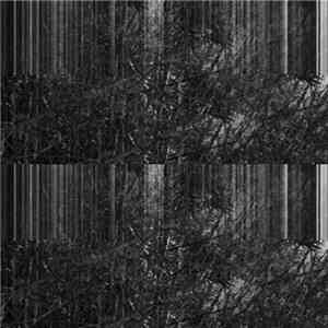 Chlorine Gargle - Coral Antlers​/​Stone Hooves FLAC