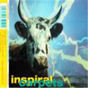 Inspiral Carpets - She Comes In The Fall / Sackville FLAC