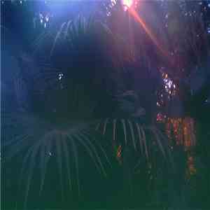 Raffet - Barrio Riddims FLAC