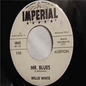Willie White  - Mr. Blues FLAC