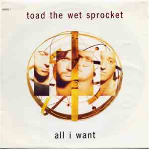 Toad The Wet Sprocket - All I Want FLAC