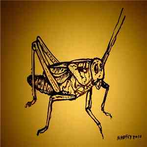 Armin Sturm / Glasgow Improvisers Orchestra - Insects FLAC