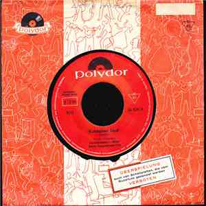 Tiroler Jodlerduo Kerschbaumer-Höller, Das Walter Ruggenthaler Trio - Kufsteiner Lied FLAC