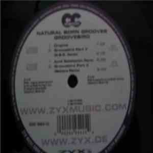 Natural Born Grooves - Groovebird FLAC