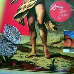 Various - El Bum FLAC