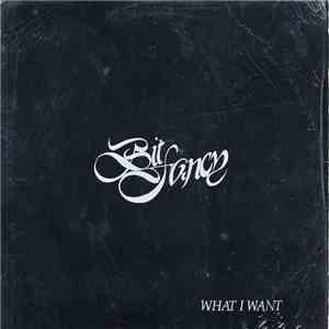 Bit Fancy - What I Want FLAC