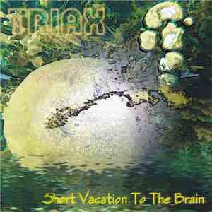 Triax - Short Vacation To The Brain FLAC