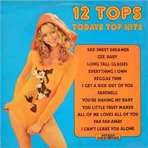 Unknown Artist - 12 Tops - Volume 24 FLAC