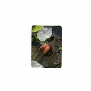 Ryosuke Miyata - In A Drainage Outlet FLAC
