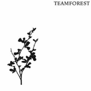 Teamforest - Let's Get Away From Here FLAC
