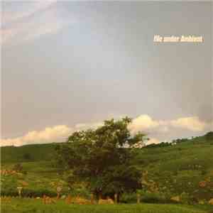 Various - File Under Ambient FLAC