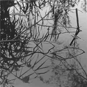Antony And The Johnsons - Swanlights EP FLAC