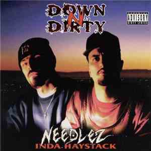 Down-N-Dirty - Needlez Inda Haystack FLAC