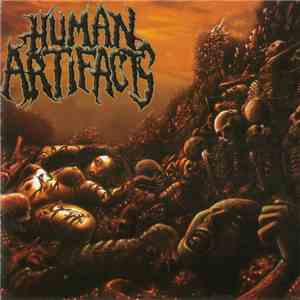 Human Artifacts - The Principles Of Sickness FLAC