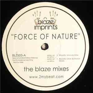Sunshine Anderson - Force Of Nature (The Blaze Mixes) FLAC