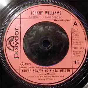 Johnny Williams - You're Something Kinda Mellow FLAC