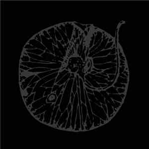 Ryfylke - Morild / Nuema Brister FLAC