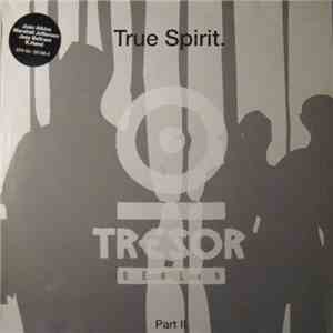 Various - True Spirit. Part II FLAC